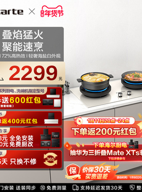 卡萨帝揽光小炫风燃气灶煤气灶家用灶台猛火灶炉灶天然气灶CDZ5U9