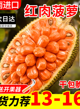 菠萝蜜印尼红肉越南进口红心波萝蜜新鲜干苞脆甜一整个