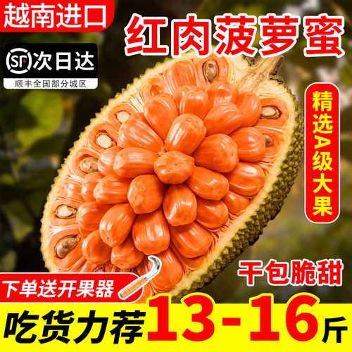 正宗印尼红菠萝蜜越南进口一整个