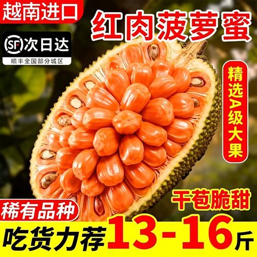 正宗印尼红菠萝蜜越南进口一整个