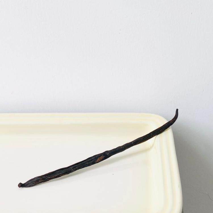 【欧厨】㊣法国进口香草杆香草豆荚一根约10g