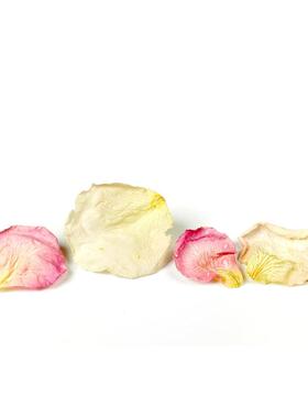 【欧厨】SOSA西班牙进口低温干燥黄/粉/红玫瑰花瓣西餐甜品560朵