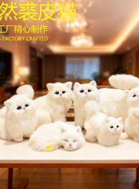 真皮毛仿真波斯猫咪摆件道具