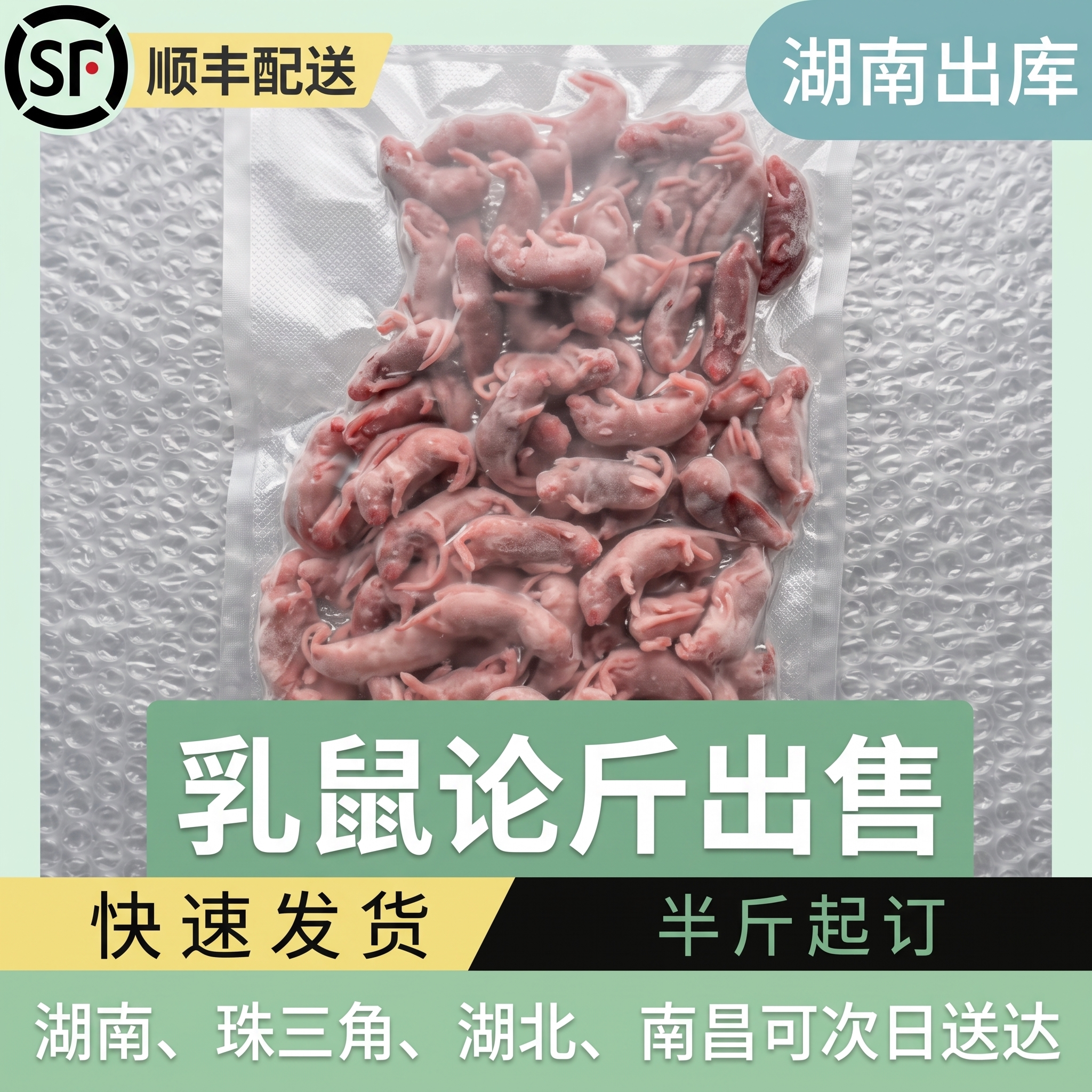 冷冻乳鼠小白鼠一斤装 爬宠饲料 蛇类喂食冰冻幼鼠活体饵料