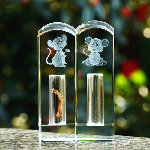 胎毛纪念品diy鼠年出生头发做