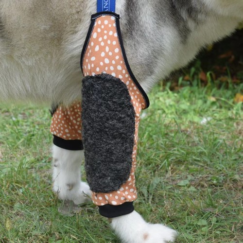 大狗防磨防舔护肘可调节松紧带弹力前腿关节保护中大型犬狗护肘套