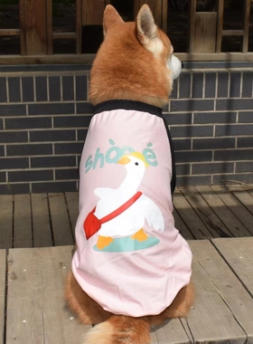 宠物春夏防蚊虫长袖T恤柴犬边牧秋田雪纳瑞阿拉斯加哈士奇狗衣服