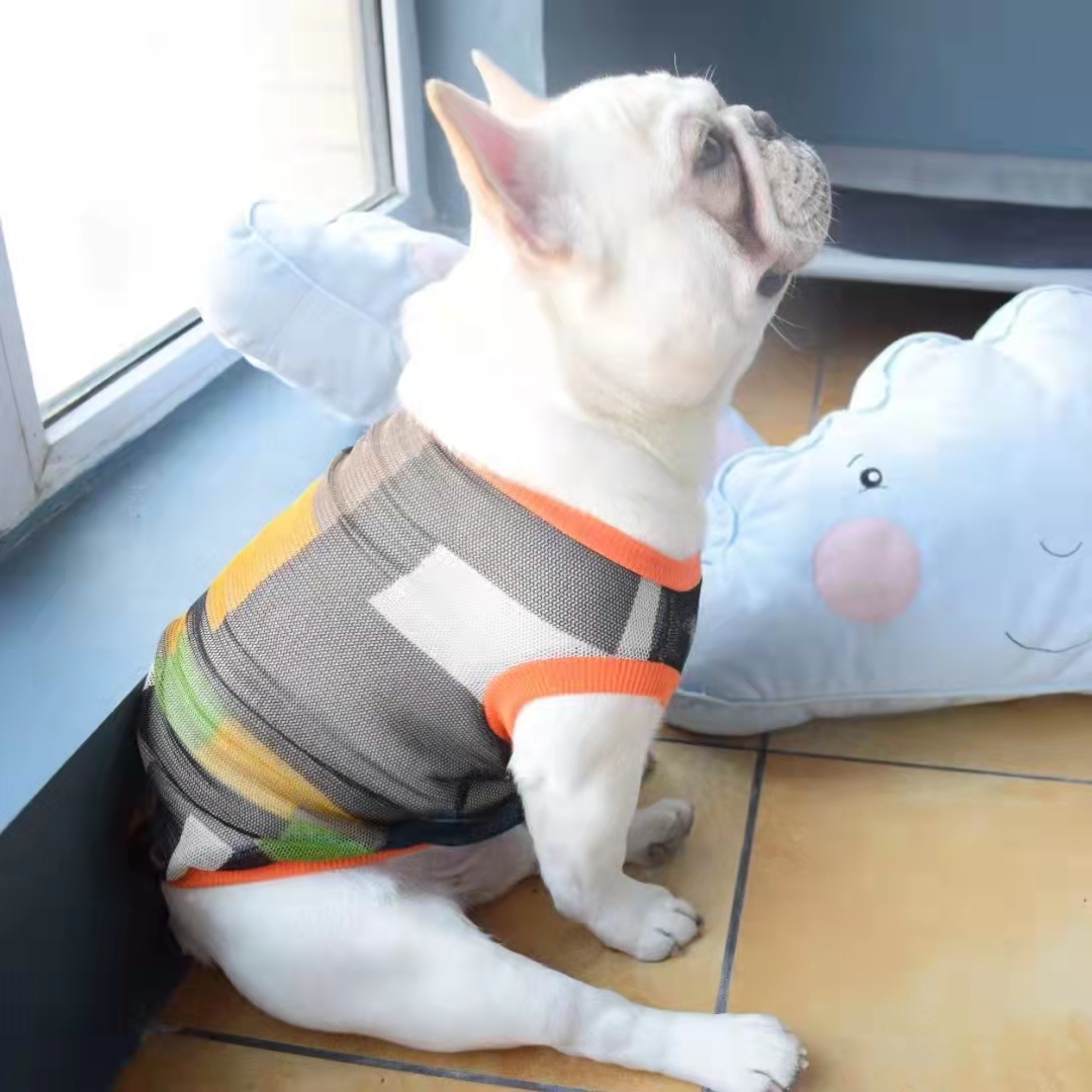 网格背心防掉毛恶霸京巴狗狗衣服
