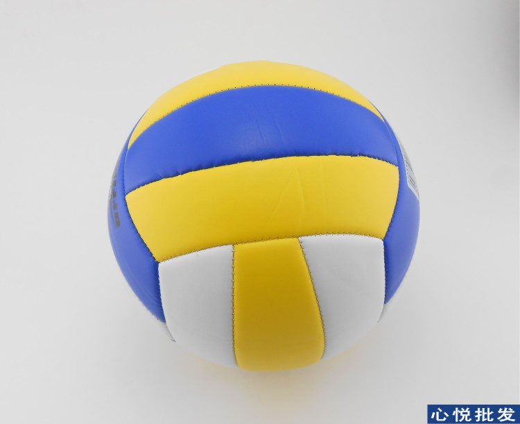 Ballon de volley - Ref 2010233 Image 5