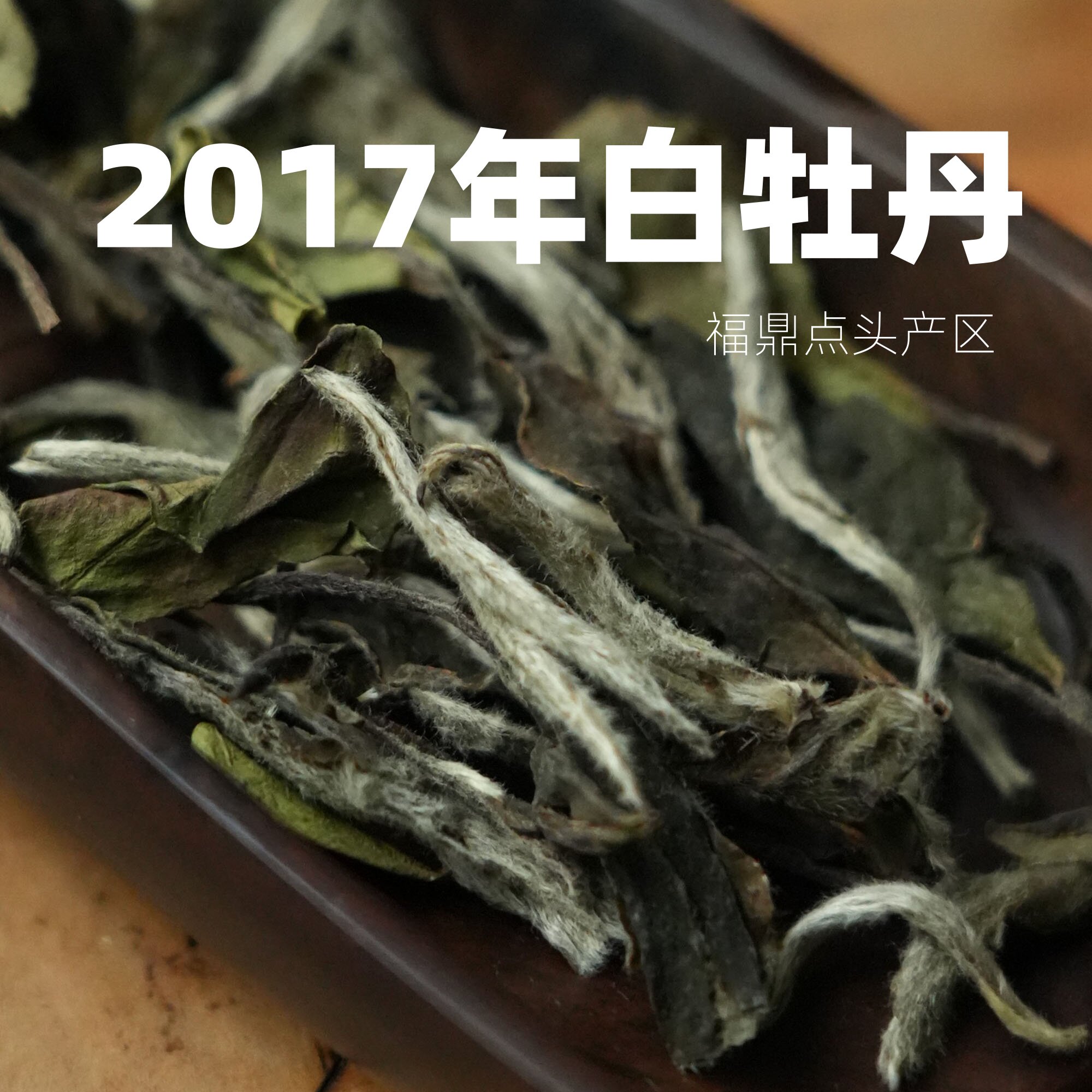2017福鼎点头白牡丹