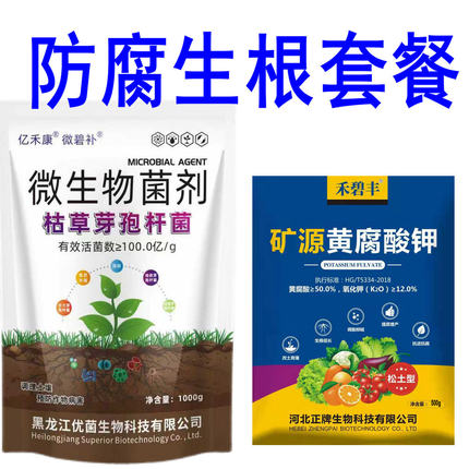 枯草芽孢杆菌哈茨木霉菌生物菌剂重茬药根腐病土传病害真菌细菌病
