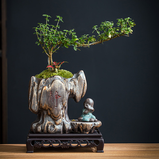 文竹花盆中式盆景六月雪室内办公室小叶赤楠植物四季好养微景观