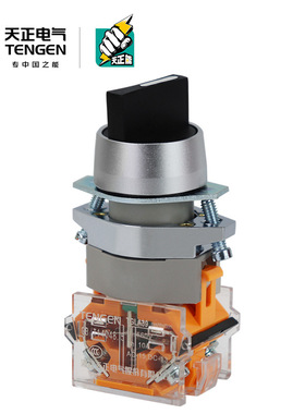 TENGEN天正电气 TGLA39-11X/2 20X/3旋钮旋转开关二档三档黑色