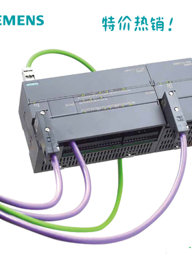 西门子PLC 6ES7 288-1ST60-0AA1 36/24 200smart 现货