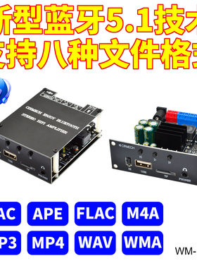 HIFI蓝牙5.1数字大功率TPA3116D2立体声2.0双声道TF优盘AUX功放板