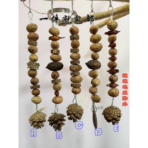 鹉林外传益智鹦鹉玩具啃咬解闷