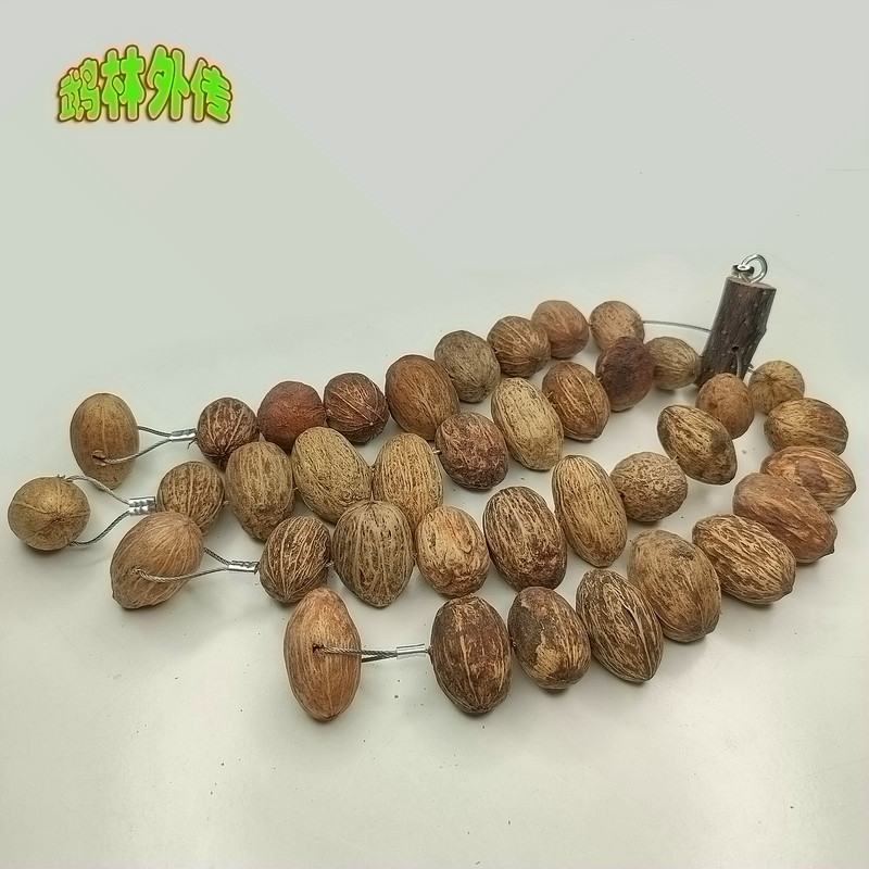店主推荐鹦鹉啃咬磨嘴磨牙玩具坚果野果啃咬大串玄凤牡丹虎皮用品,宠物/宠物食品及用品,鸟玩具,淘宝优惠券,粉丝福利购,淘宝优惠卷