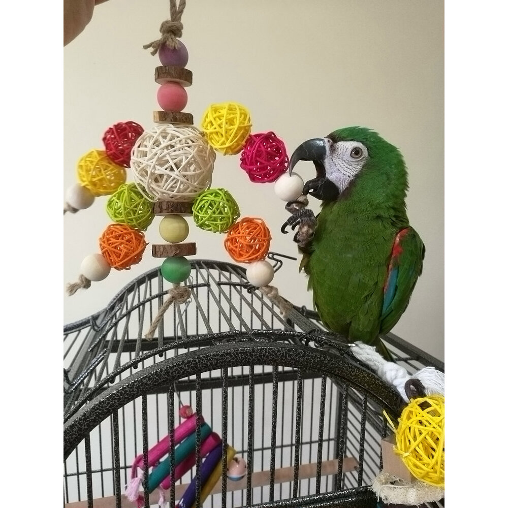 鹉林外传益智鹦鹉玩具啃咬解闷