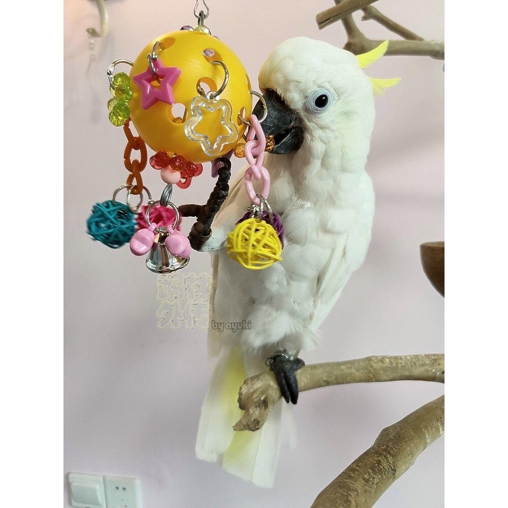 中小型鹦鹉啃咬玩具洞洞亚克力益智藤球铃铛小太玄凤牡丹磨嘴咬串,宠物/宠物食品及用品,鸟玩具,淘宝优惠券,粉丝福利购,淘宝优惠卷