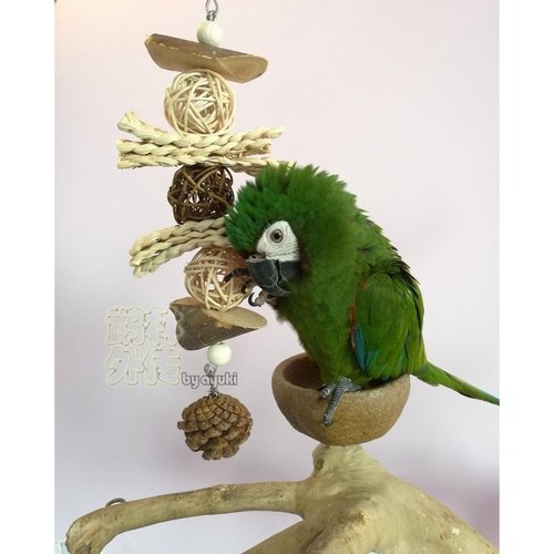 鹉林外传益智鹦鹉玩具啃咬解闷