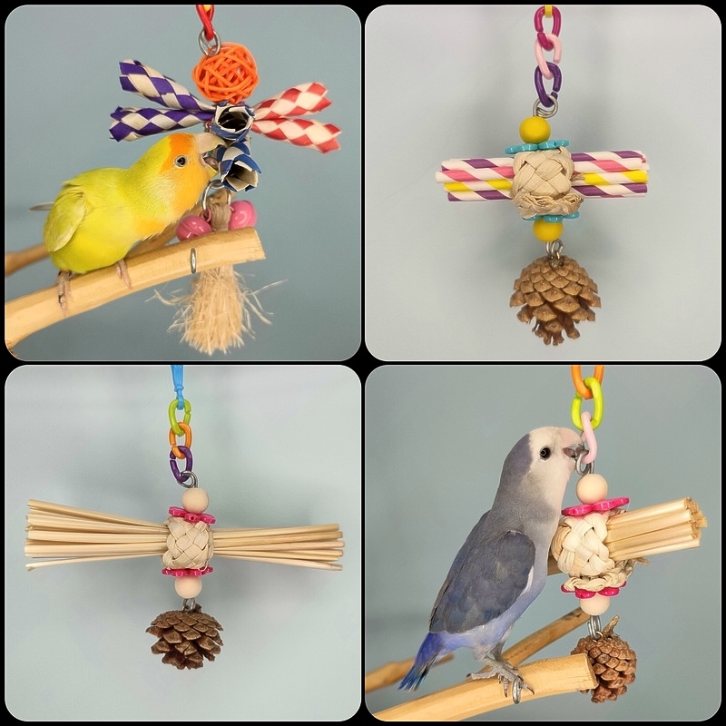 鹉林外传益智鹦鹉玩具啃咬解闷