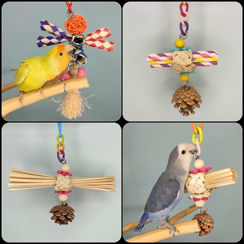 鹉林外传益智鹦鹉玩具啃咬解闷