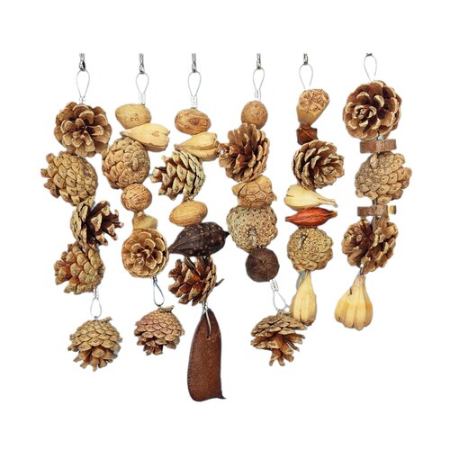 鹉林外传益智鹦鹉玩具啃咬解闷