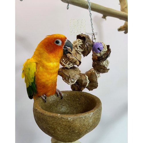 鹉林外传益智鹦鹉玩具啃咬解闷