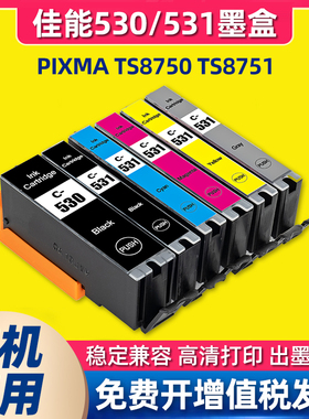 适用Canon佳能ts8750墨盒TS8750 TS8751打印机墨水盒PGI-530 531