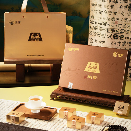 中茶海堤茶叶茶客茶AT050NEW天心岩肉桂 100克/12泡