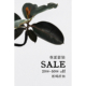套装 5折起 50%OFF 类 折扣20%