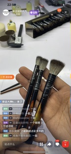 红灰鼠小点彩