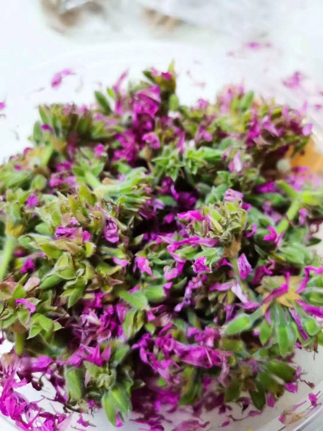 萃草堂 天竺葵纯露 通透毛孔平衡水油补水