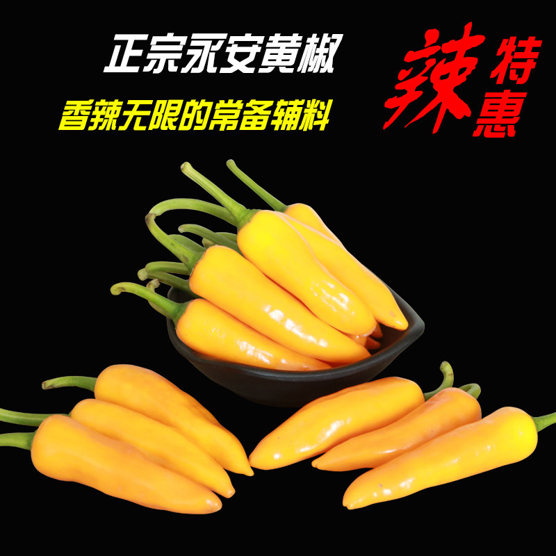 包邮500g永安新鲜香辣正宗黄椒图片