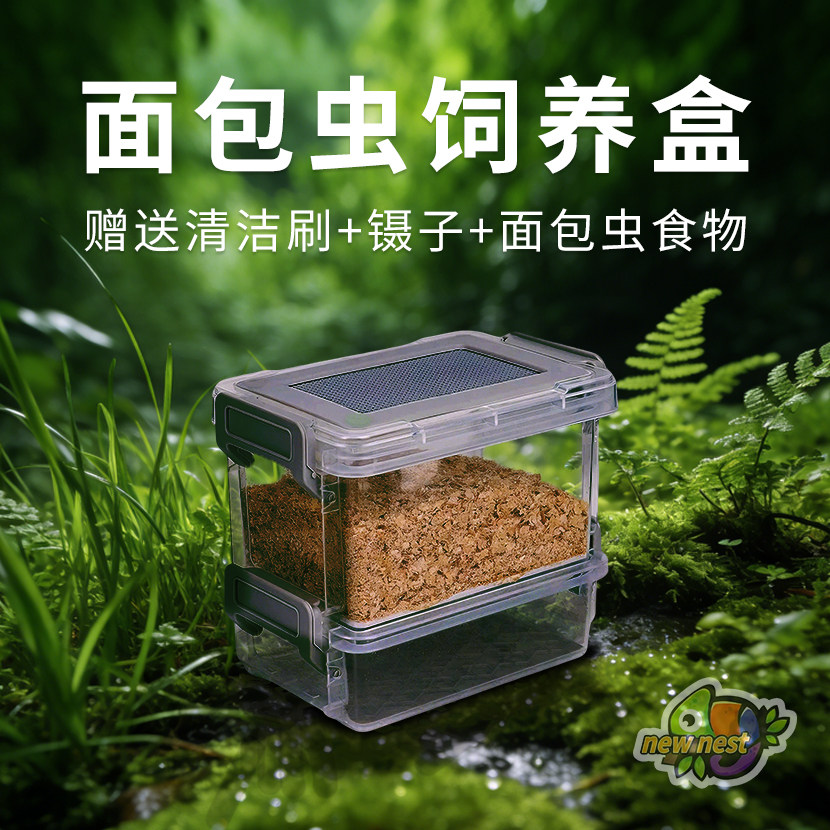 面包虫滤屎饲养箱玉米虫杜比亚大麦虫防臭防潮专用透气防逃饲养盒图片