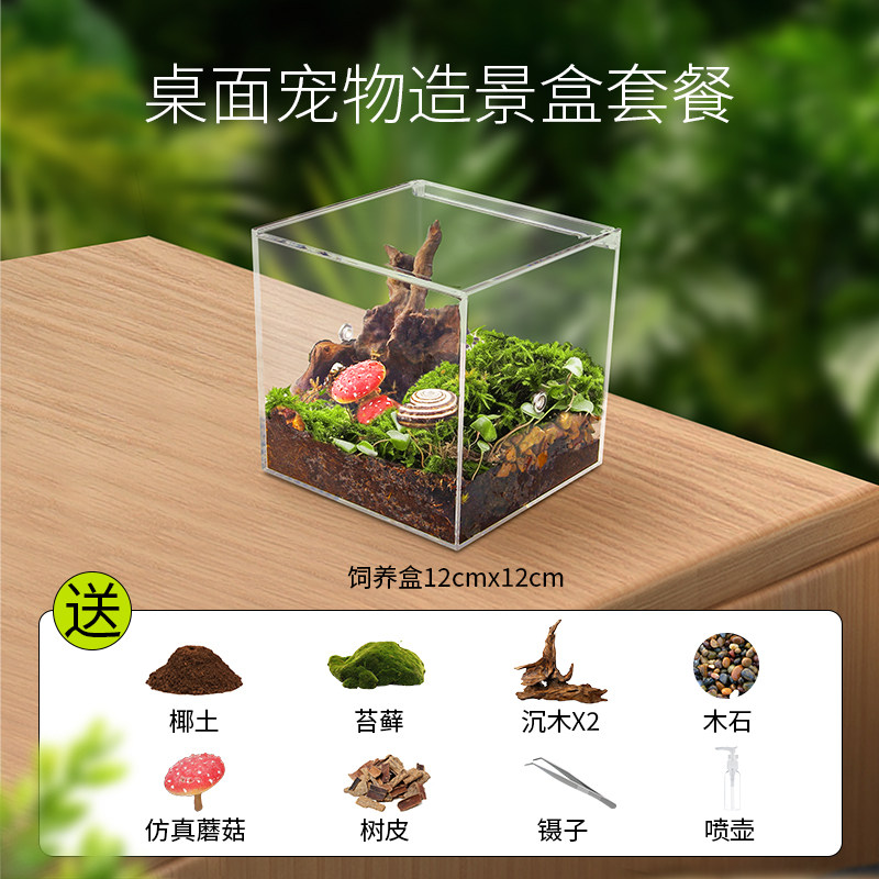 桌面造景蜗牛生态饲养盒蜘蛛昆虫螳螂蝈蝈迷你爬虫生态盒跳蜘鸣虫,宠物/宠物食品及用品,特色爬宠/鸣虫,淘宝优惠券,粉丝福利购,淘宝优惠卷