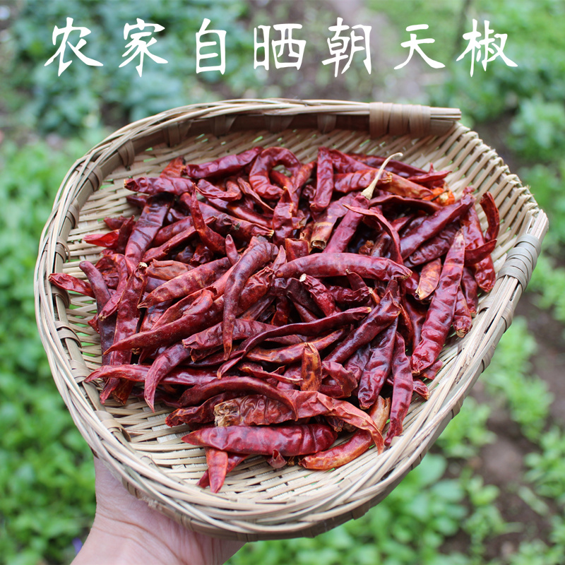 江西干辣椒朝天椒 朝天椒干辣椒 辣椒250g