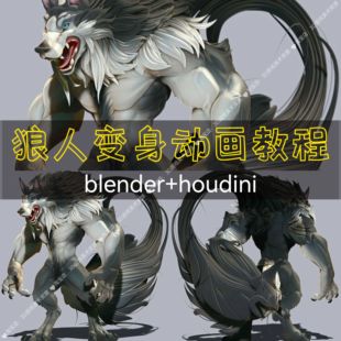 24年狼人变身动画教程 blender/houdini卡通角色融合毛发特效渲染