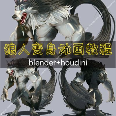24年狼人变身动画教程 blender/houdini卡通角色融合毛发特效渲染