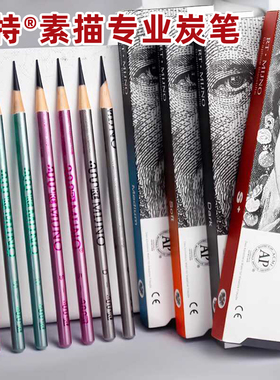 MIJNO锐特炭笔素描美术生专用速写软中硬专业RT软全碳黑特软炭笔