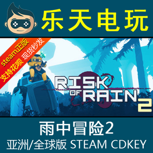 Risk Rain CDKey PC正版 国区亚洲全球激活码 STEAM雨中冒险2