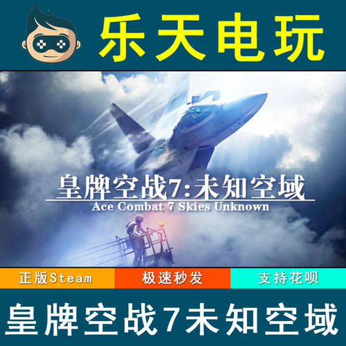 pc正版steam皇牌空战激活码CDKEY