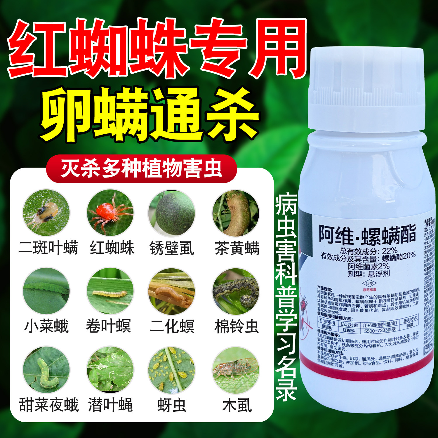 阿维螺螨酯花卉果树红蜘蛛杀虫剂
