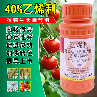 国光乙烯利催熟剂棉花橡胶树香蕉番茄柿子水稻烟草增产生长调节剂