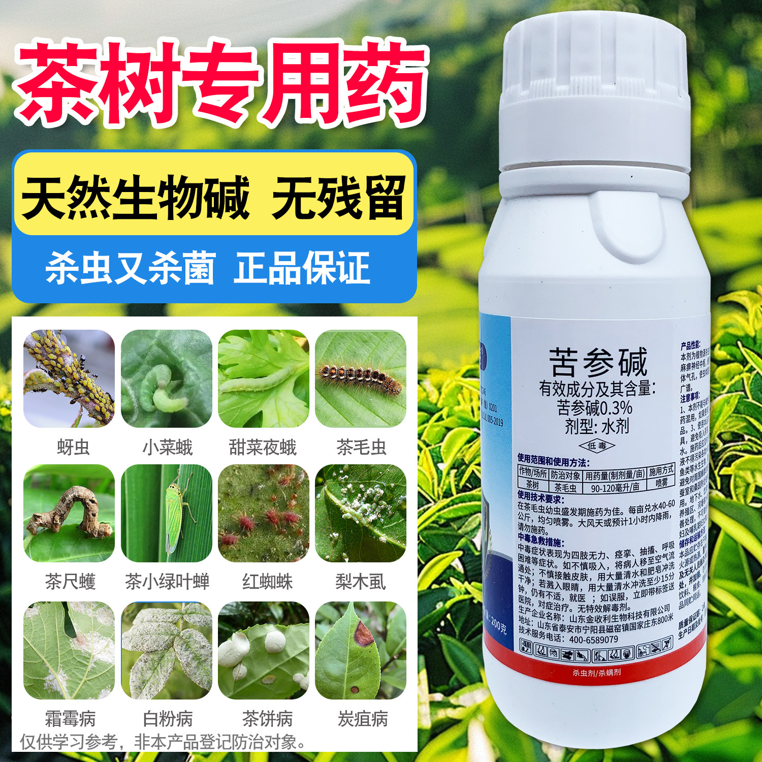 茶树专用0.3%苦参碱有机生物农药无残留茶小绿叶蝉茶毛虫草莓蚜虫