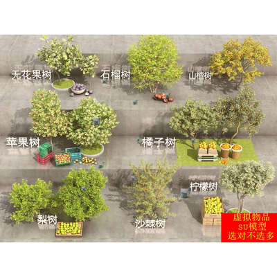 SU模型果树苹果树橘子树无花果树柠檬树梨树山楂树石榴树沙棘树
