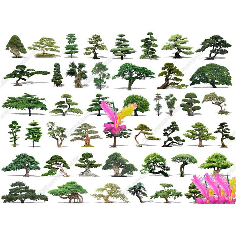 草图大师1576 中式景观树 造型树 禅意植物 盆栽 罗汉松SU模型