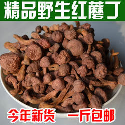 新货野生红蘑丁干货松树伞松蘑菇鸡血红蘑小蘑菇头包邮