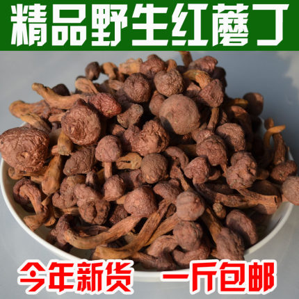 新货野生红蘑丁干货松树伞松蘑菇鸡血红蘑小蘑菇头包邮