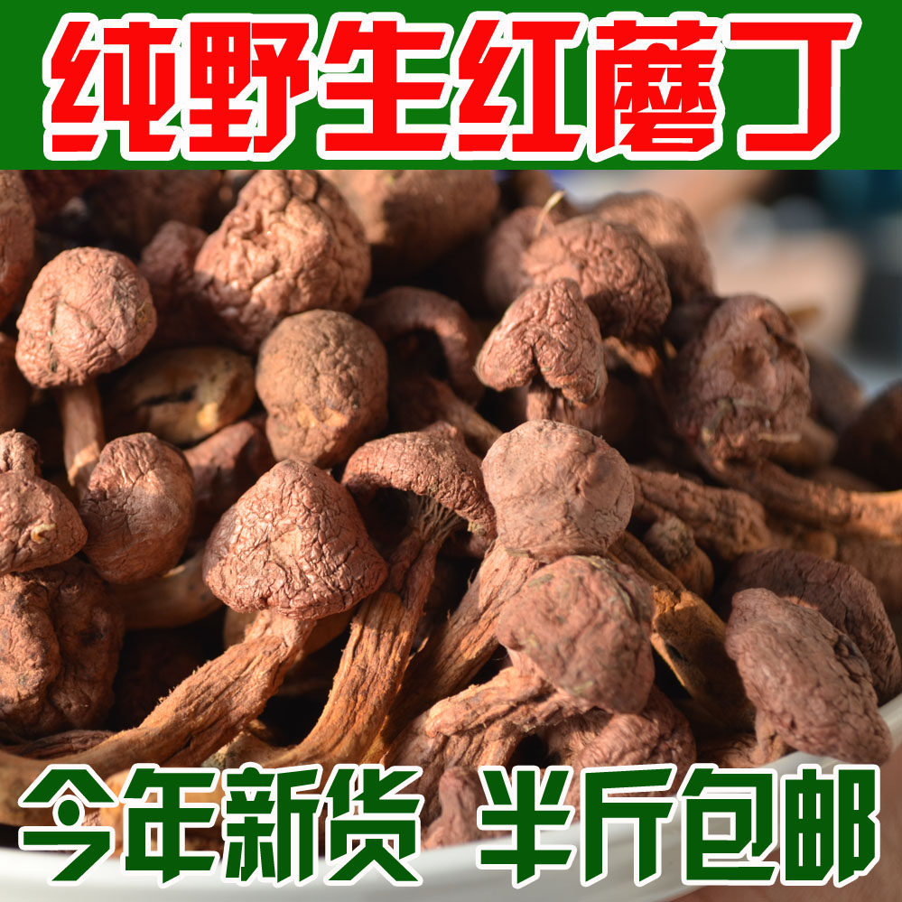 新货野生红蘑红鸡血蘑菇肉蘑红松伞蘑菇丁榛蘑香菇类干货包邮
